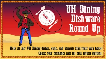 Dishware Roundup